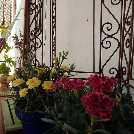 La Puerta Azul Villa บอร์นอส ภายนอก รูปภาพ