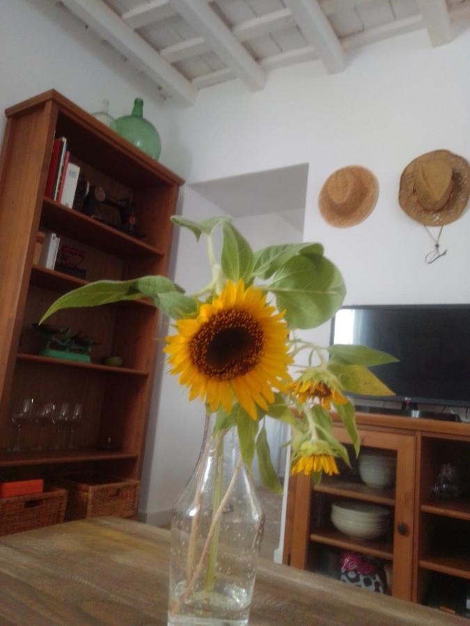 La Puerta Azul Villa บอร์นอส ภายนอก รูปภาพ