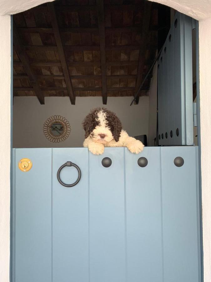 La Puerta Azul Villa บอร์นอส ภายนอก รูปภาพ