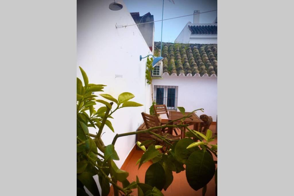 La Puerta Azul Villa บอร์นอส ภายนอก รูปภาพ