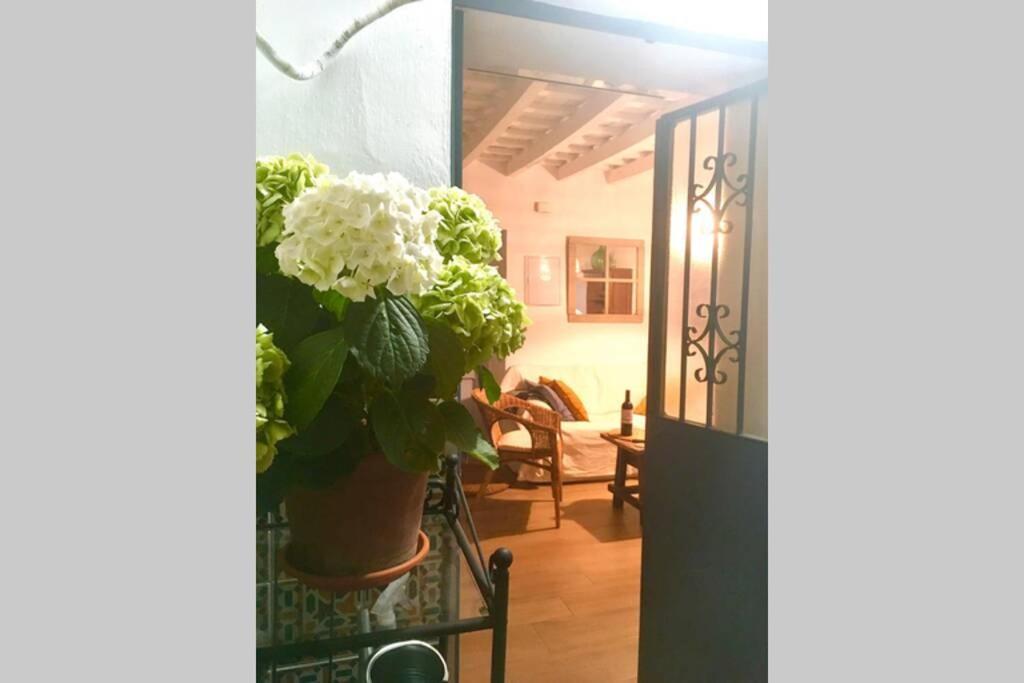 La Puerta Azul Villa บอร์นอส ภายนอก รูปภาพ