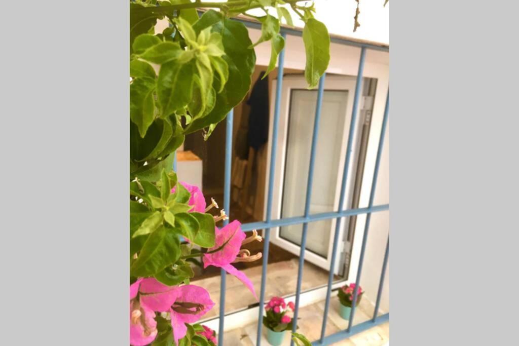 La Puerta Azul Villa บอร์นอส ภายนอก รูปภาพ