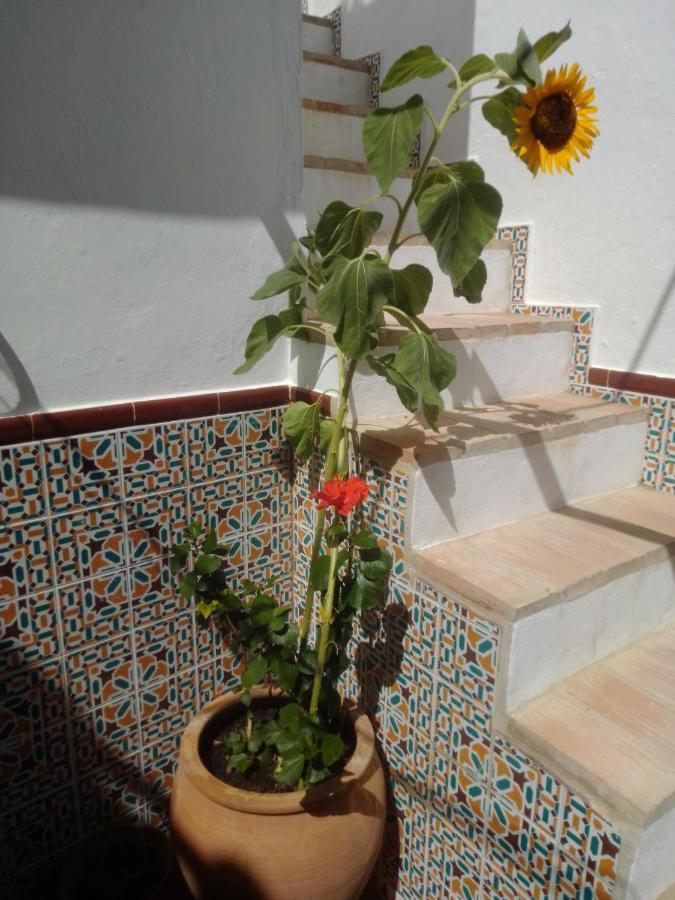 La Puerta Azul Villa บอร์นอส ภายนอก รูปภาพ