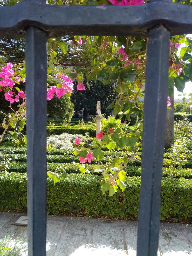 La Puerta Azul Villa บอร์นอส ภายนอก รูปภาพ