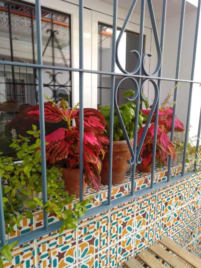 La Puerta Azul Villa บอร์นอส ภายนอก รูปภาพ